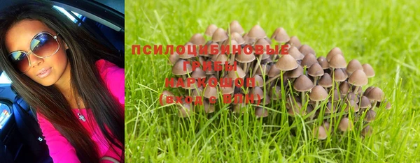 гидра Алексеевка