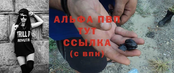 гидра Алексеевка