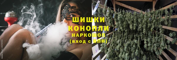 гидра Алексеевка