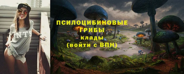 гидра Алексеевка