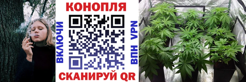 МАРИХУАНА план hydra сайт darknet клад наркотики Аргун